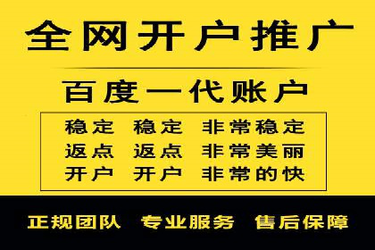 百度竞价代运营公司成功案例揭秘：策略与执行